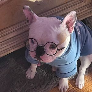 Meet your Posher, Edwin